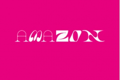 amazon_TDW2021